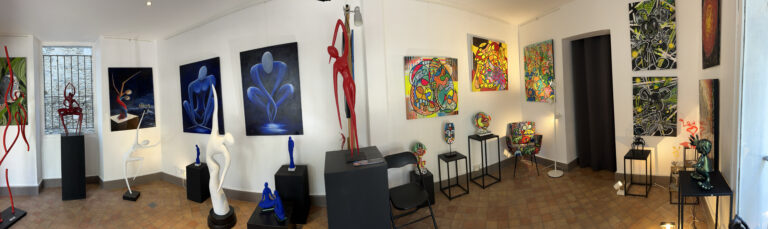 Galerie ACMAA